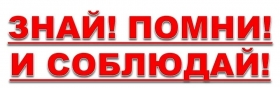 На территории ЗАТО г. Североморск проводится межведомственная оперативно-профилактическая акция «Соблюдай Закон!»