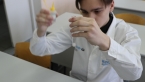 Девятиклассники Кольского Заполярья успешно выполнили экспериментальную часть экзамена по химии
