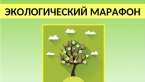 Стартовал Всероссийский фестиваль энергосбережения и экологии «Вместе Ярче!»