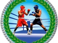 Первенство Мурманской области по боксу среди юношей г. Апатиты