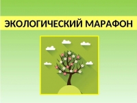 Стартовал Всероссийский фестиваль энергосбережения и экологии «Вместе Ярче!»